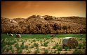Paysages